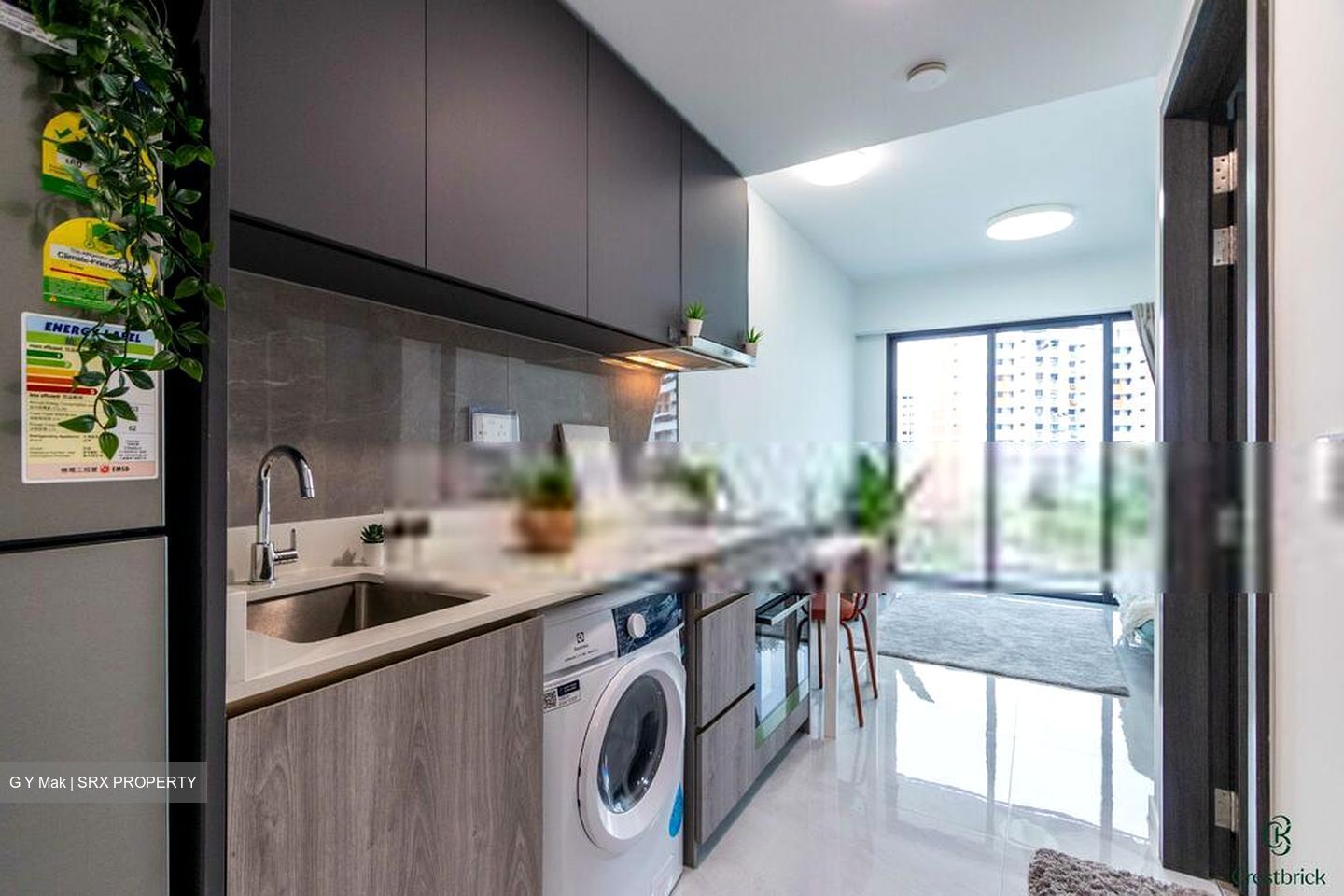 Riverfront Residences (D19), Apartment #632741531